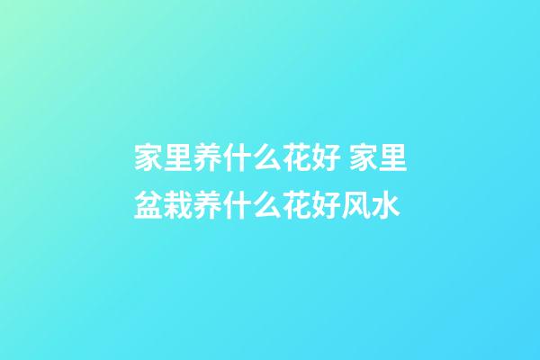 家里养什么花好 家里盆栽养什么花好风水